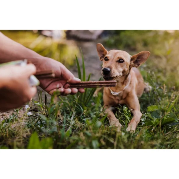 Green Petfood VeggieDog Denties fogápoló jutalomfalat